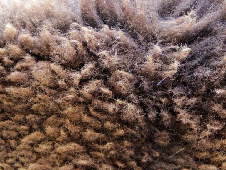 Schafwolle von der Simmersäge